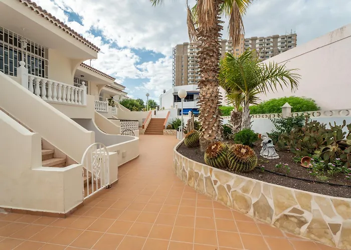 Rosas Sunset Арона